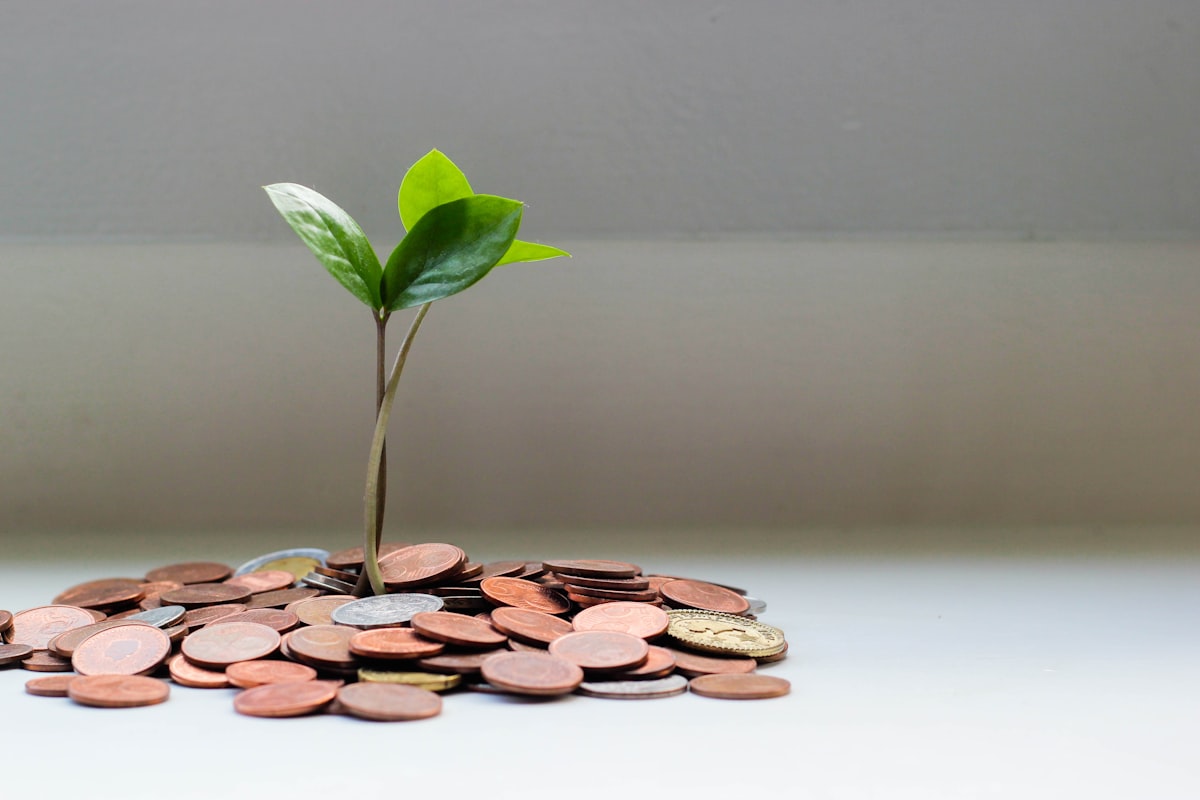 WMS pricing guide: the five cost lines of a mid-market 3PL WMS deployment